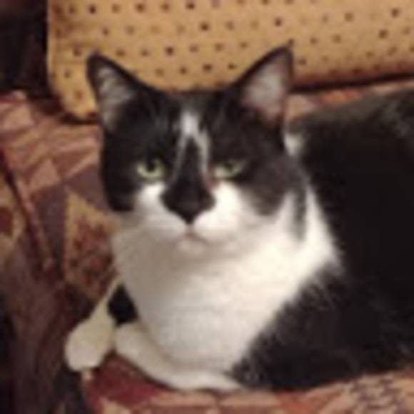 Meet your Posher, Heidi - Picture 1 of 1